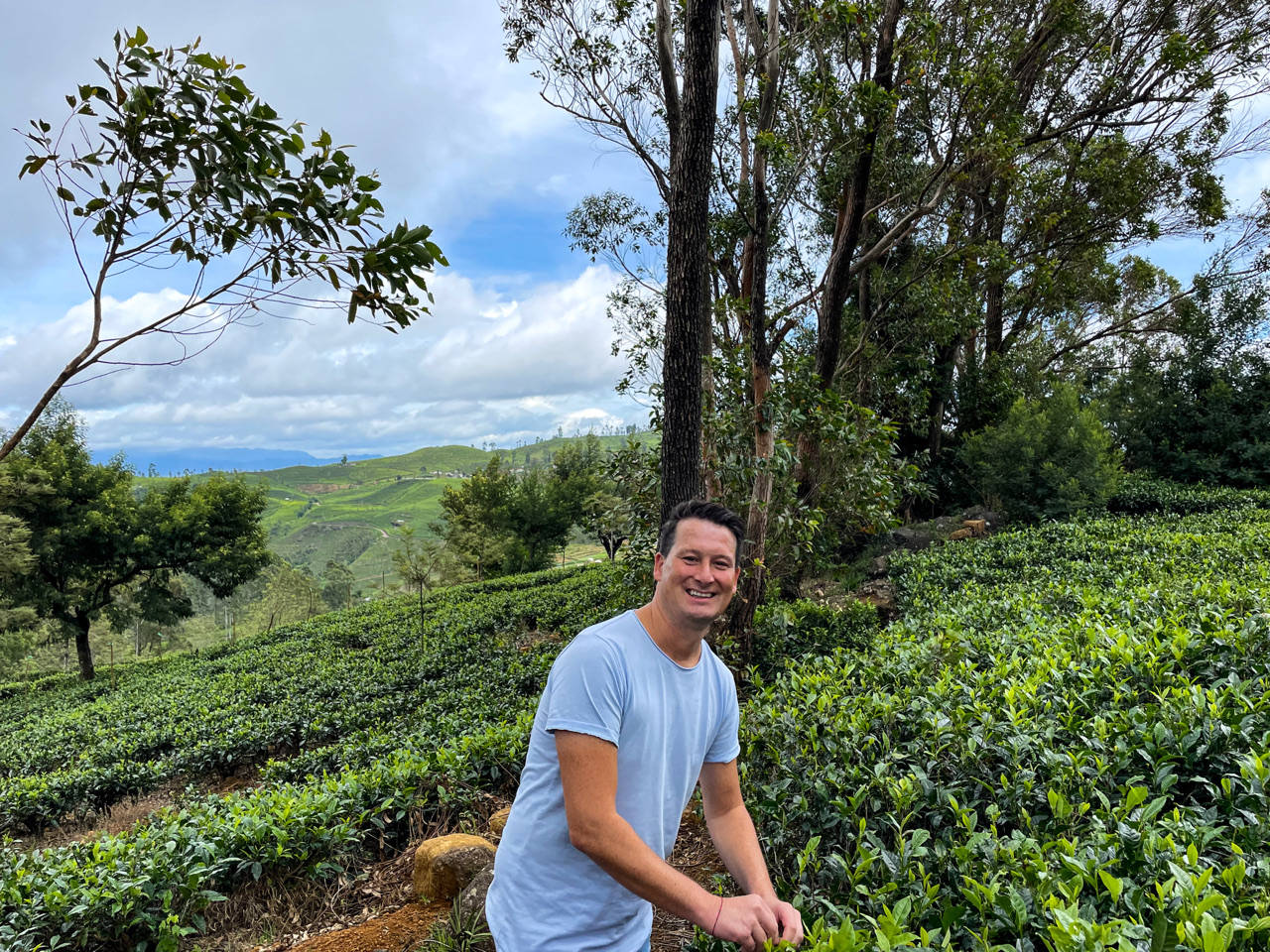 Mann im Teefeld in Ella in Sri Lanka