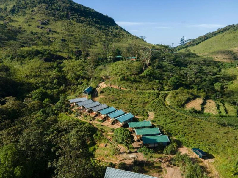 Blick auf die Glamping Zelte in den Knuckles Bergen in Sri Lanka