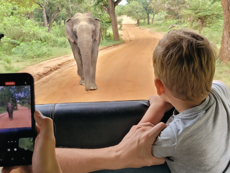 Auf Safari im Yala Nationalpark, Sri Lanka