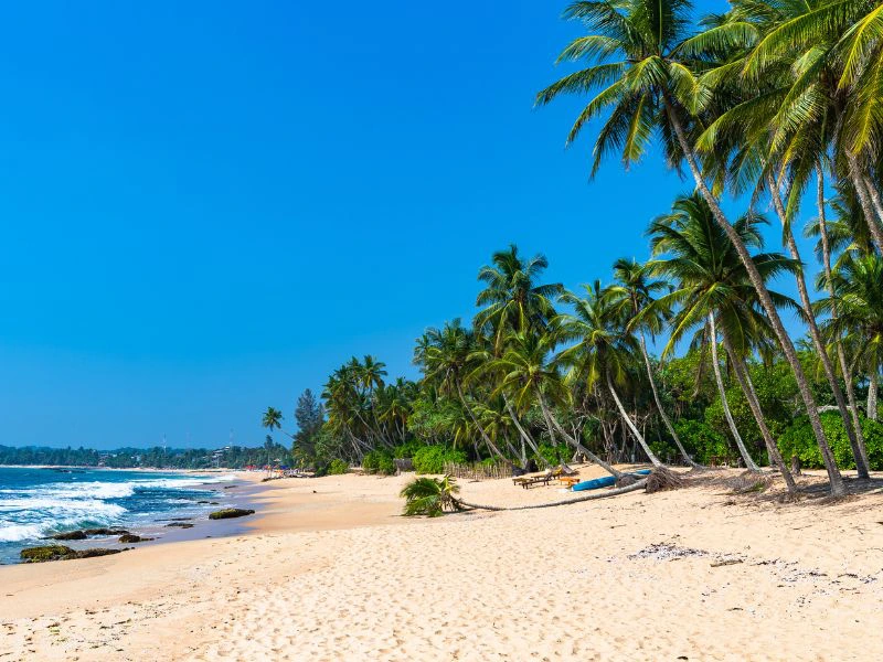 Palmengesäumter Strand von Tangalle
