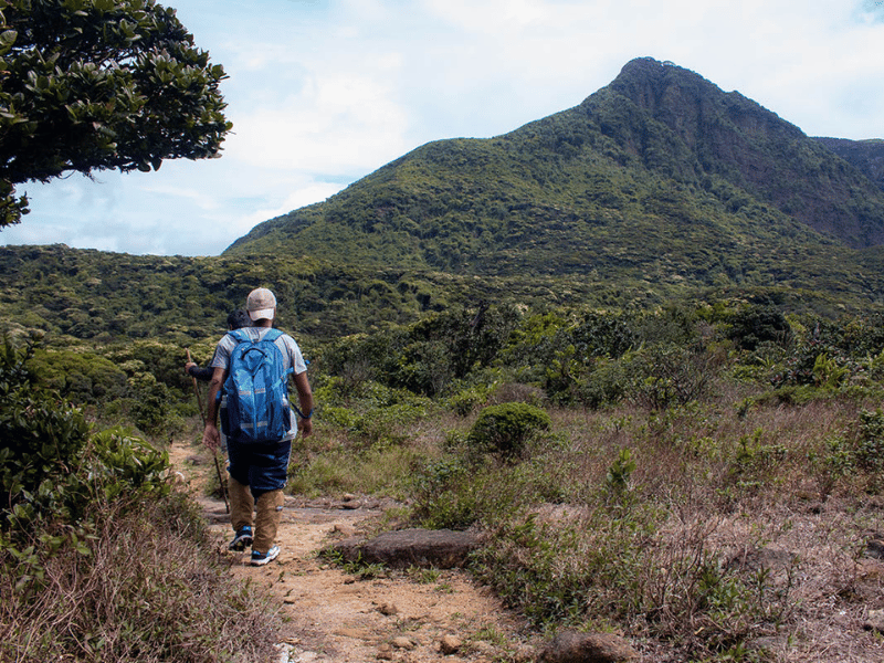 Mann beim Wandern auf einem Wanderweg umgeben von grüner Ebene und einem Berg in Sri Lanka