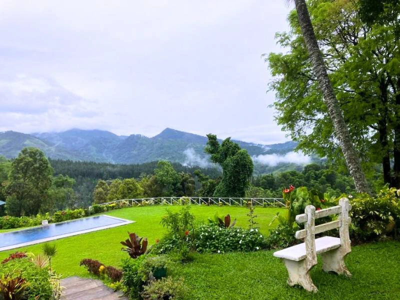 Grüner Garten mit Aussicht mit Blick auf die Knuckles Berge in Sri Lanka