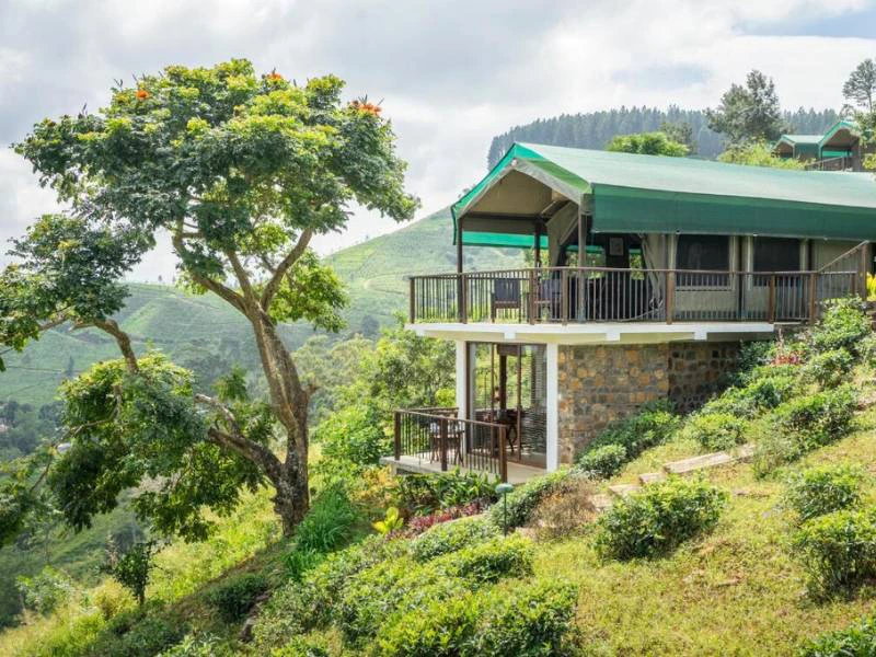 Lodge umgeben von Natur und den Knuckles Bergen in Sri Lanka