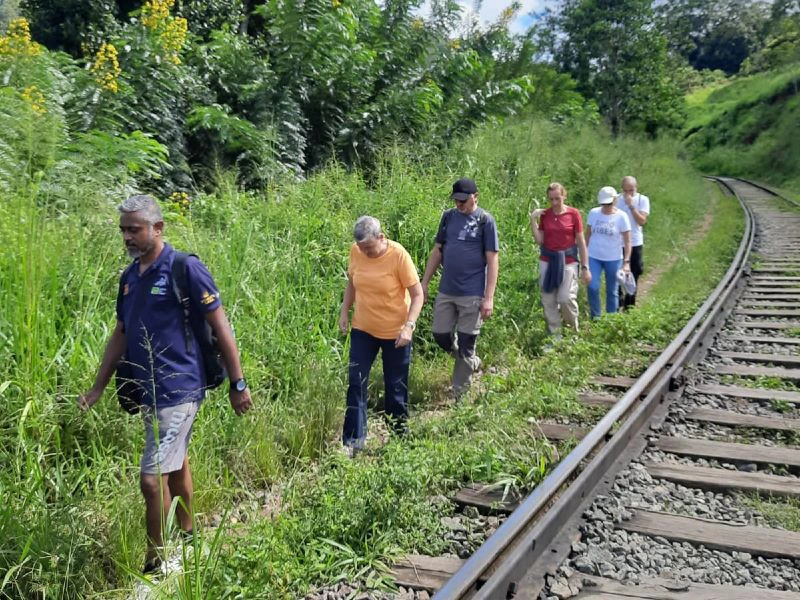 Touristen beim Wandern entlang der Bahnstrecke am Pekoe Trail in Sri Lanka