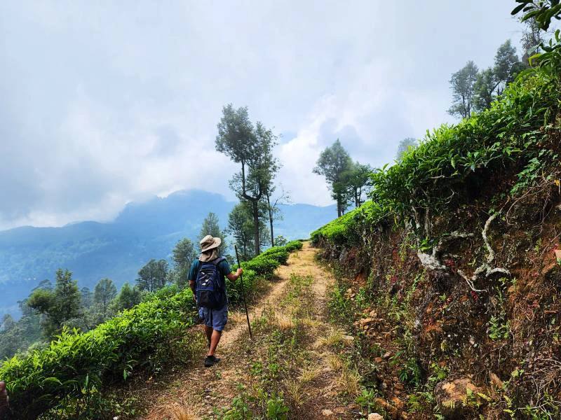 Tourist beim Wandern auf dem Pekoe Trail in Sri Lanka