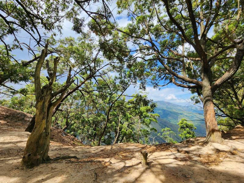 Landschaft und Aussicht am Pekoe Trail in Sri Lanka