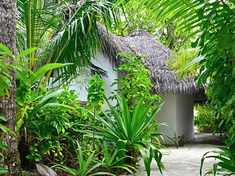 Bungalow im stilvollen Resort auf den Malediven