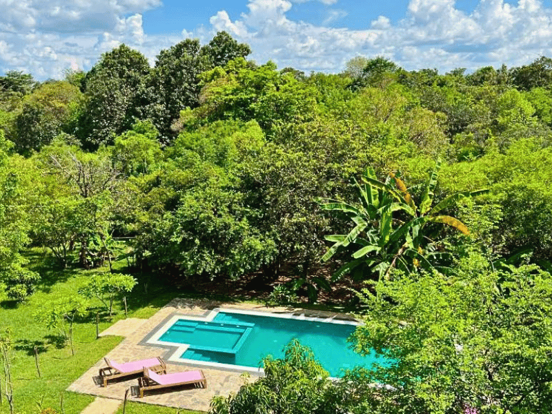 Pool im Budget Hotel in Sigiriya, Sri Lanka