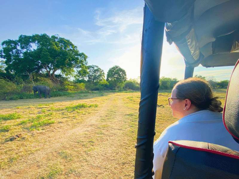 Frau beobachtet Elefant in Udawalawe in Sri Lanka