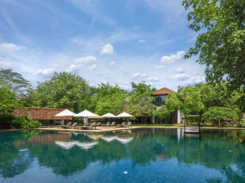 Pool im Hotel in Sigiriya, Sri Lanka