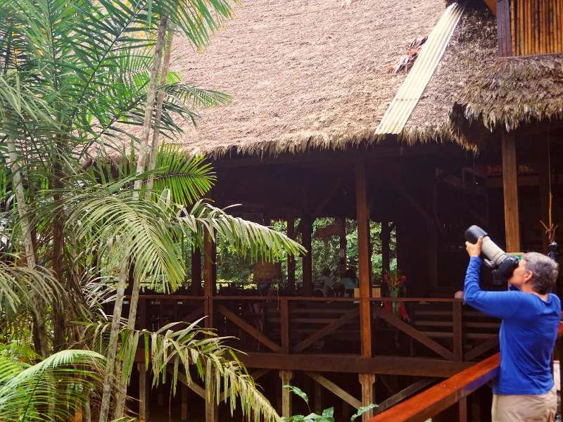 Restaurant der Lodge im Dschungel in Puerto Maldonado in Peru