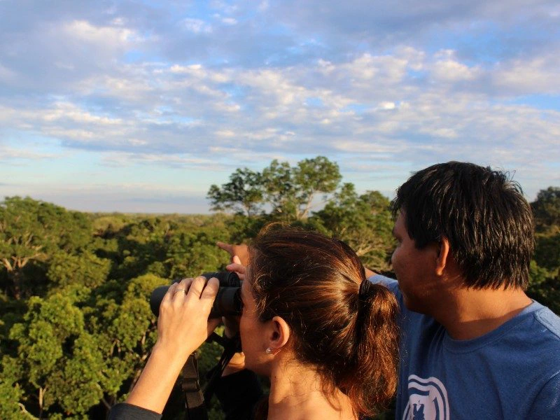 Guide im Dschungel in Puerto Maldonado in Peru