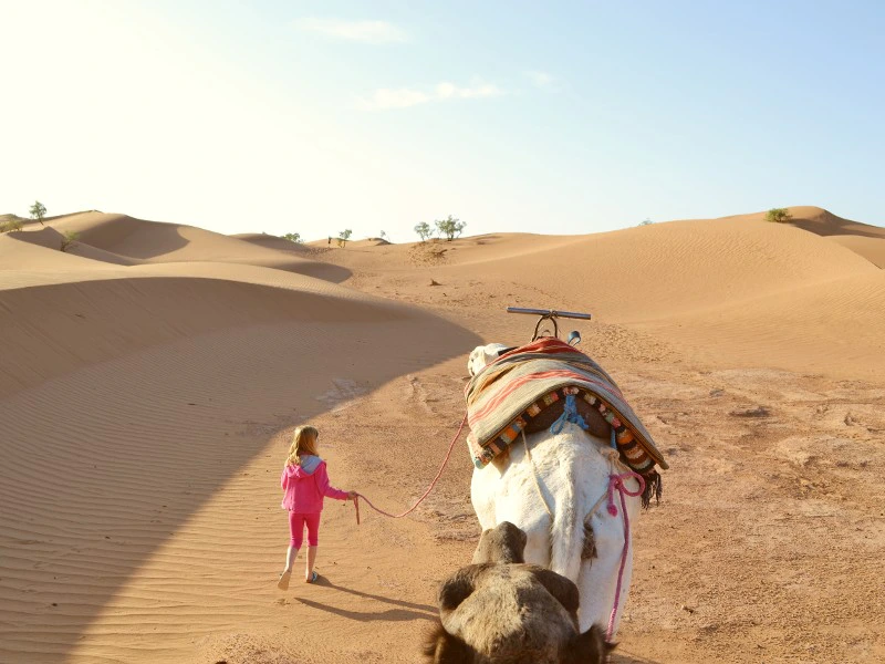 Kameltour in Zagora in die Wüste Marokkos