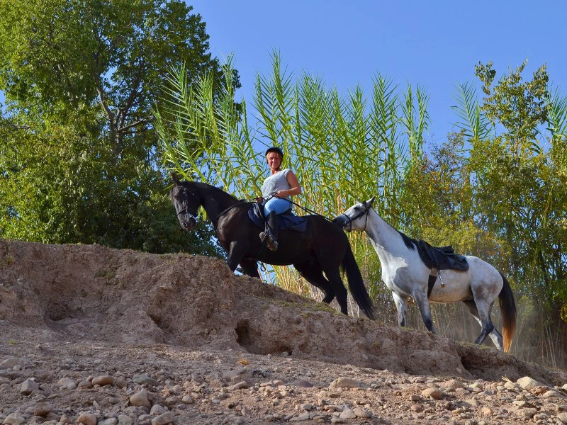 Pferderitt Lalla Takerkoust