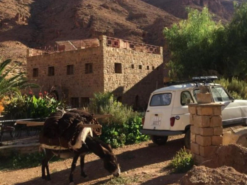 Esel in der Todra Schlucht