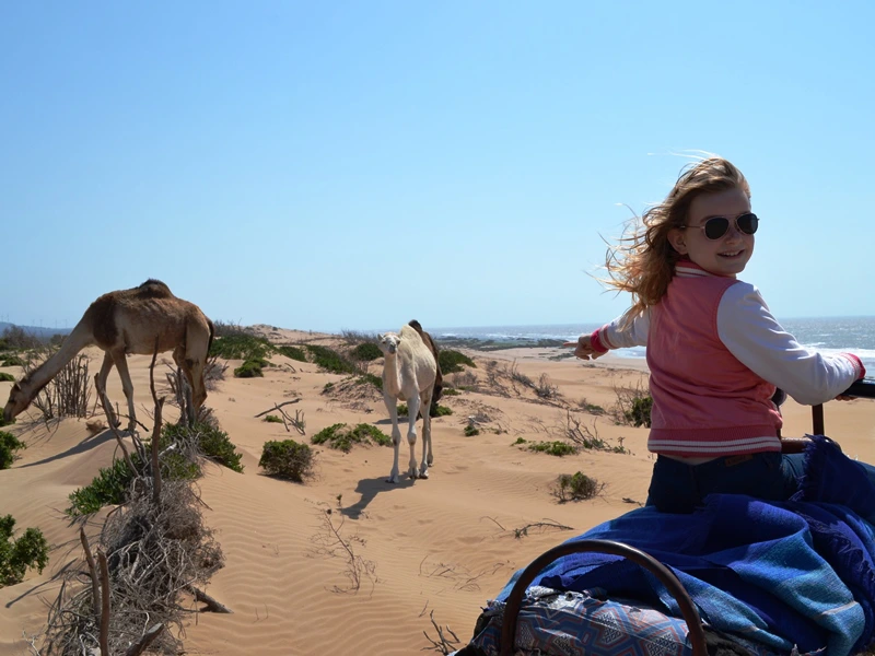 Kameltour Essaouira