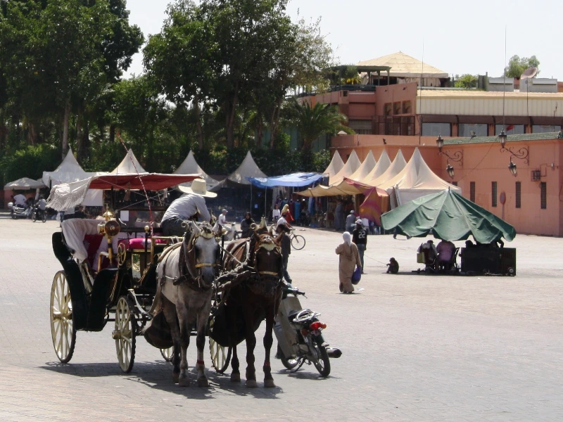 Kutsche in Taroudant