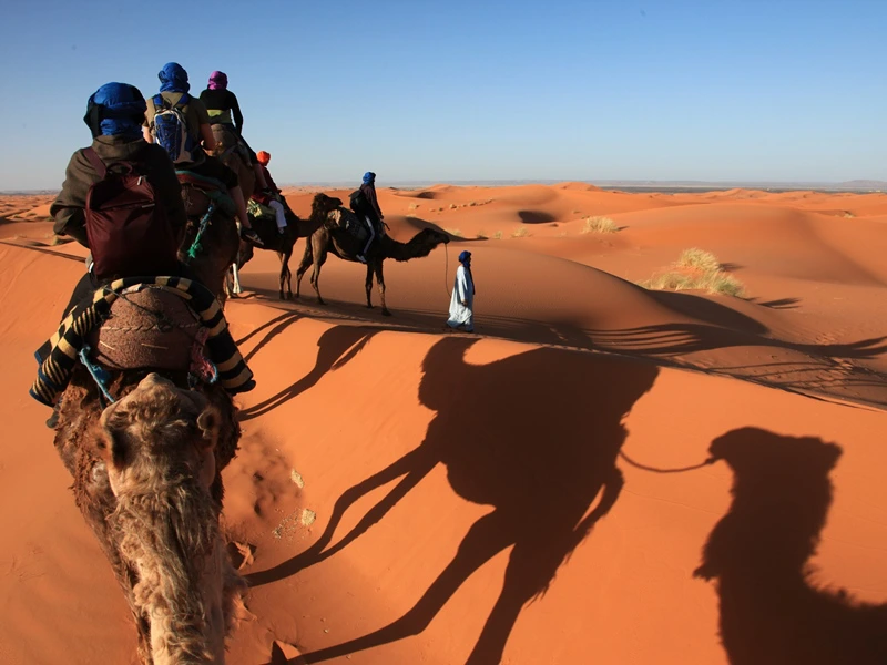 Kamelritt in die Wüste Marokko