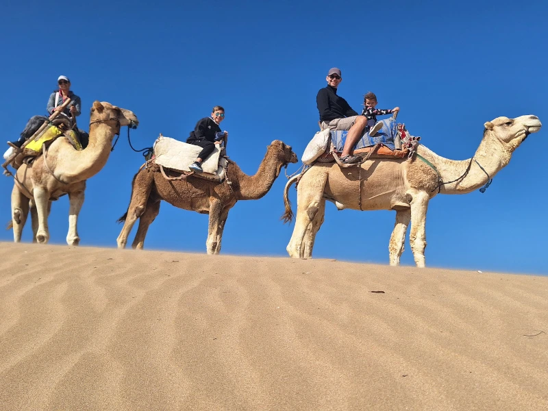 Familie reitet auf Kamelen in Marokko