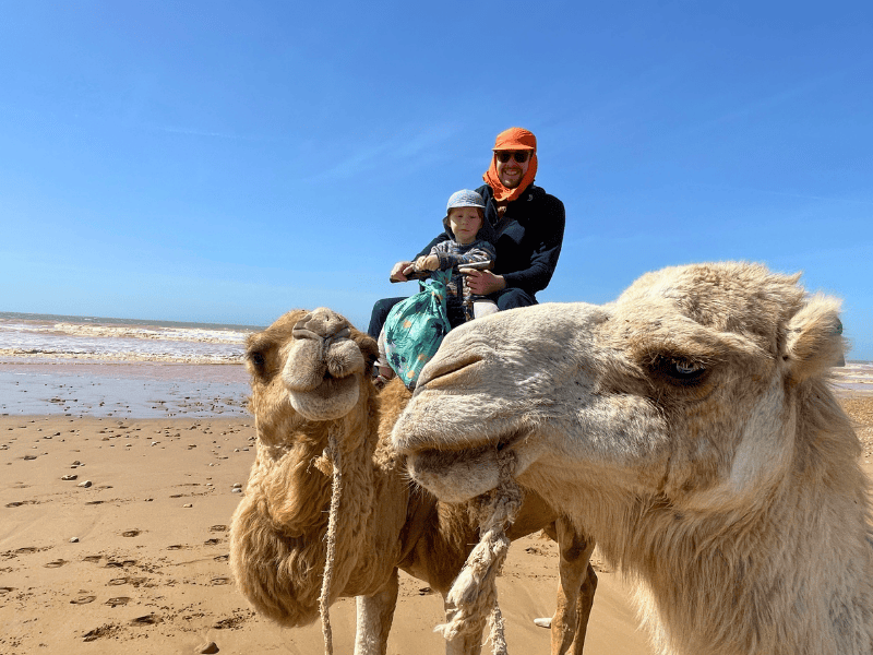 Vater und Sohn auf Dromedar am Strand mit Meer und blauem Himmel