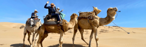 Familie reitet am Strand auf Dromedaren