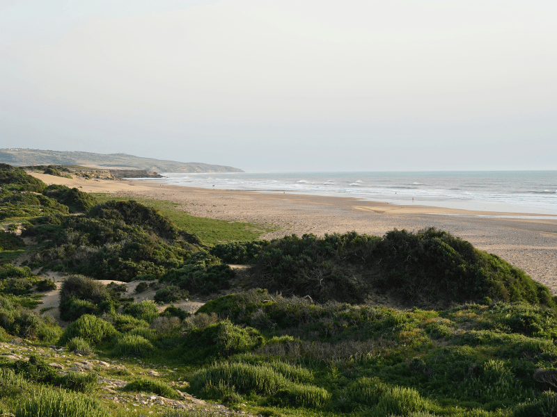 Ausblick auf Strand bei Biwak Übernachtung in der Nähe von Essaouira