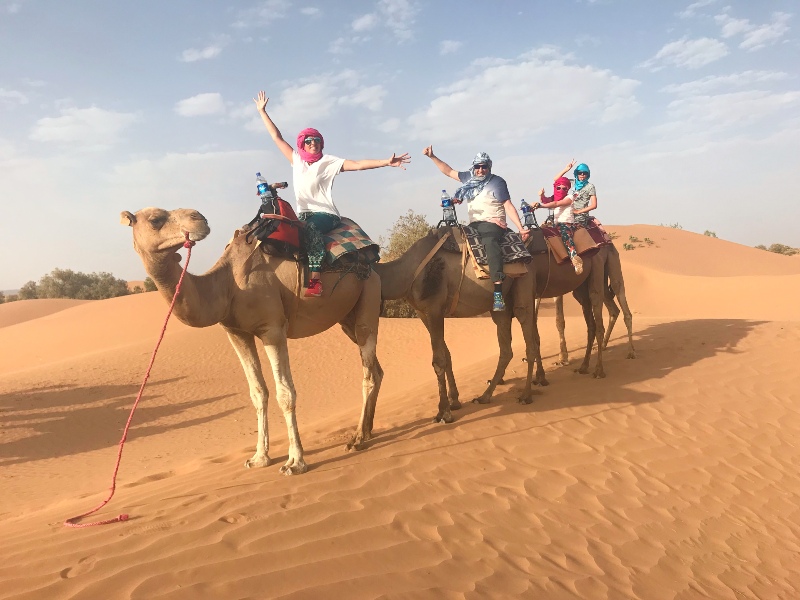 Kamele mit Touristen in der Sahara, Marokko