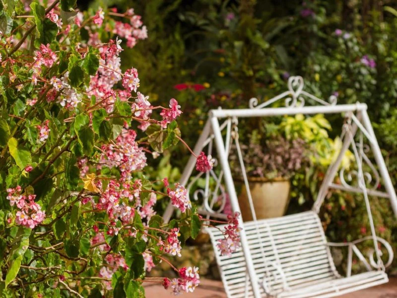 Hotelgarten in den Cameron Highlands in Malaysia