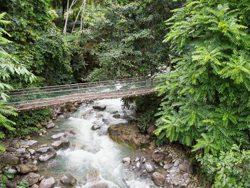 Hot Sprigs im Kinabalu Nationalpark in Borneo