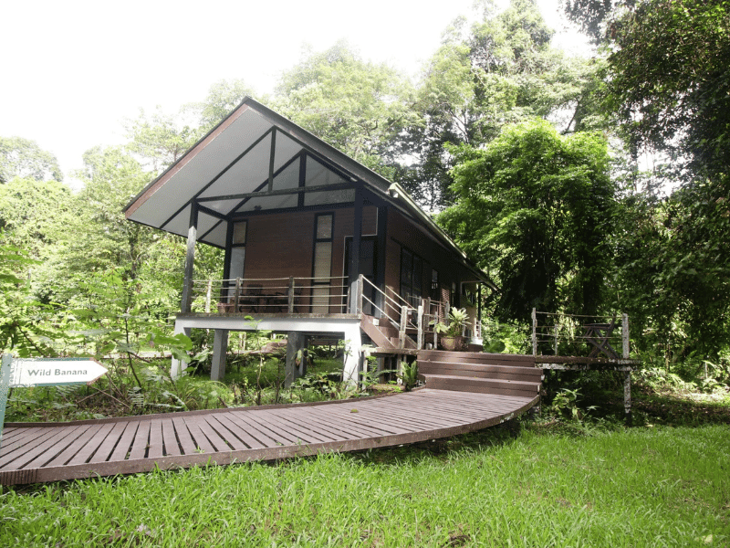 Holzchalet im Mulu Nationalpark