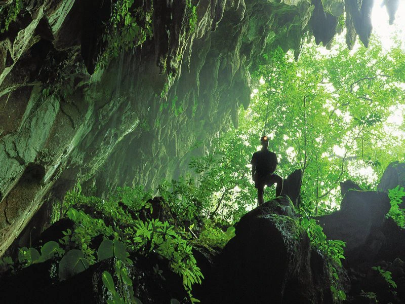Höhleneingang vom Mulu Nationalpark, Borneo