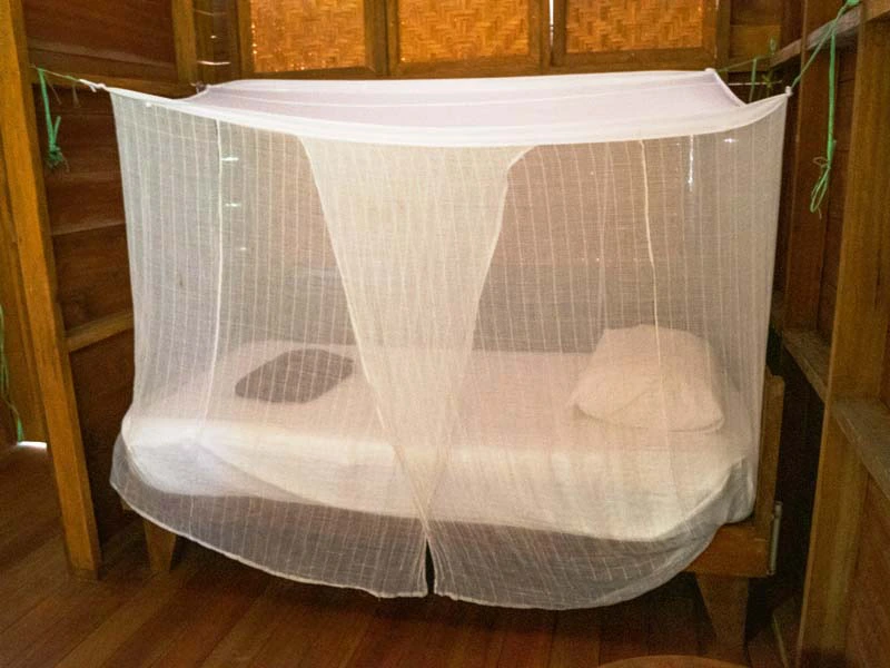 Ihr Schlafzimmer im Dschungel