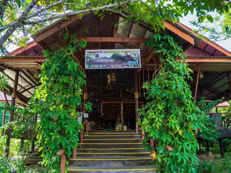 Eingang zur Lodge in Kinabatangan, Borneo