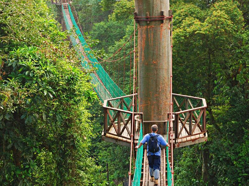 Hängebrücke im Danum Valley, Borneo