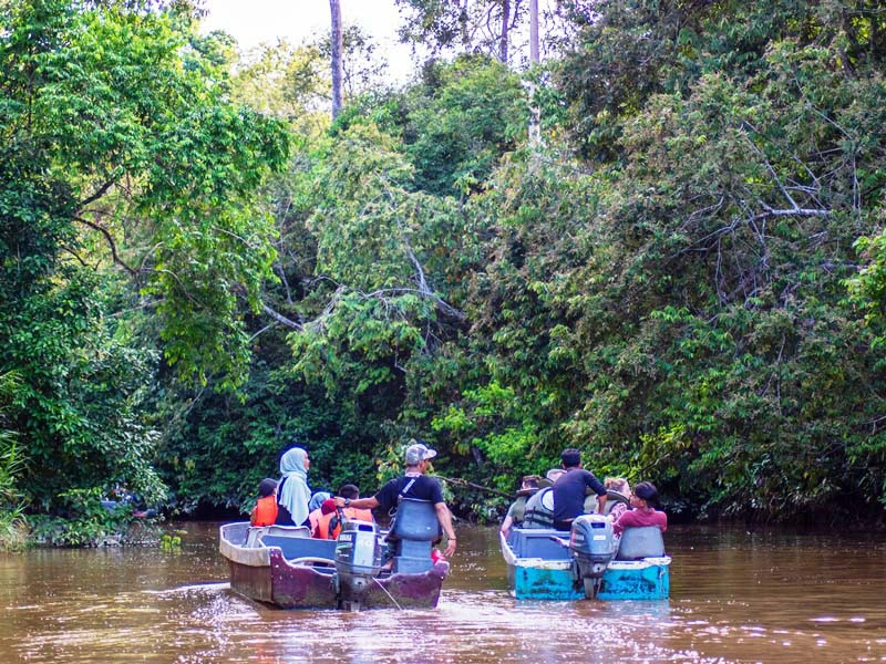 Bootsfahrt auf dem Kinabatangan Fluss, Borneo