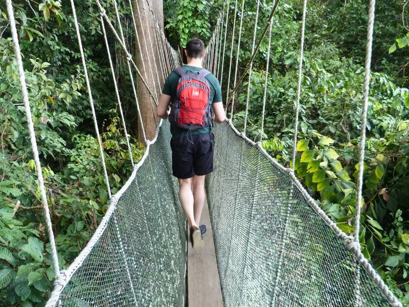Canopy Walk am Mount Kinabalu, Borneo