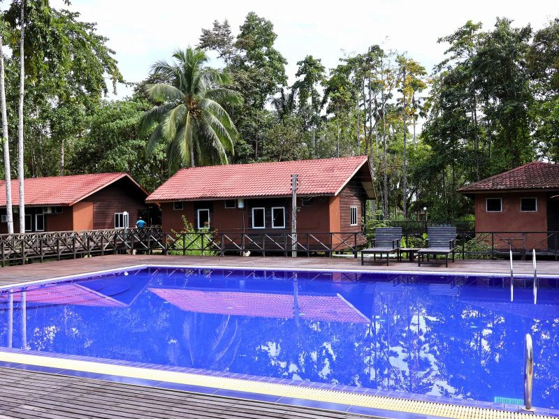 Pool im Hotel in Kinabatangan, Borneo