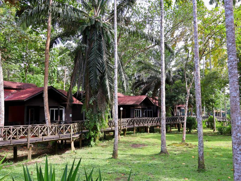 Holzchalets im Garten in Kinabatangan, Borneo