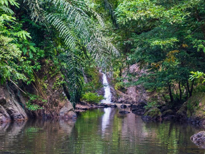 Wasserfall im Tabin Nationalpark, Borneo