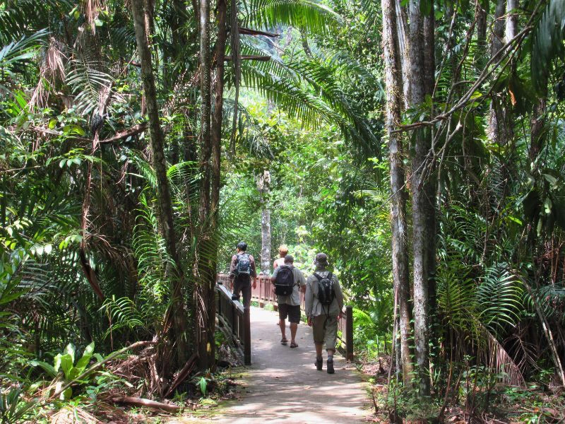 Bako Nationalpark Borneo