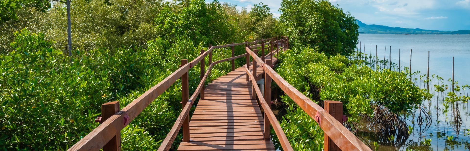 Brücke am Wasser in Kuching auf Borneo