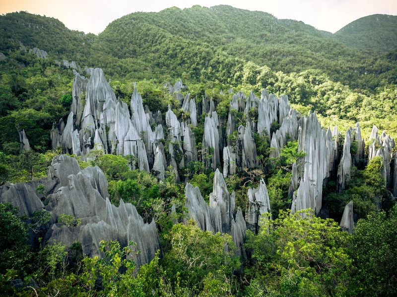 Trekking Tour zu den Pinnacles im Mulu Nationalpark, Borneo
