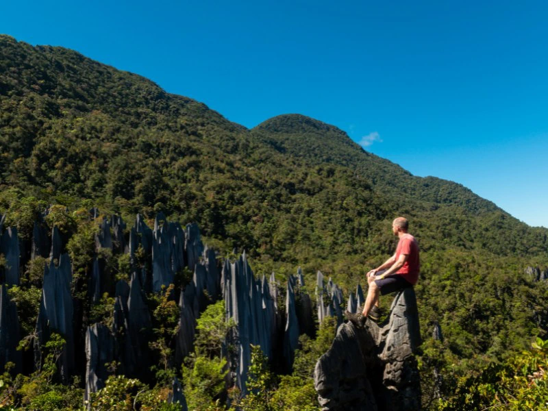 Trekking Tour zu den Pinnacles im Mulu Nationalpark, Borneo