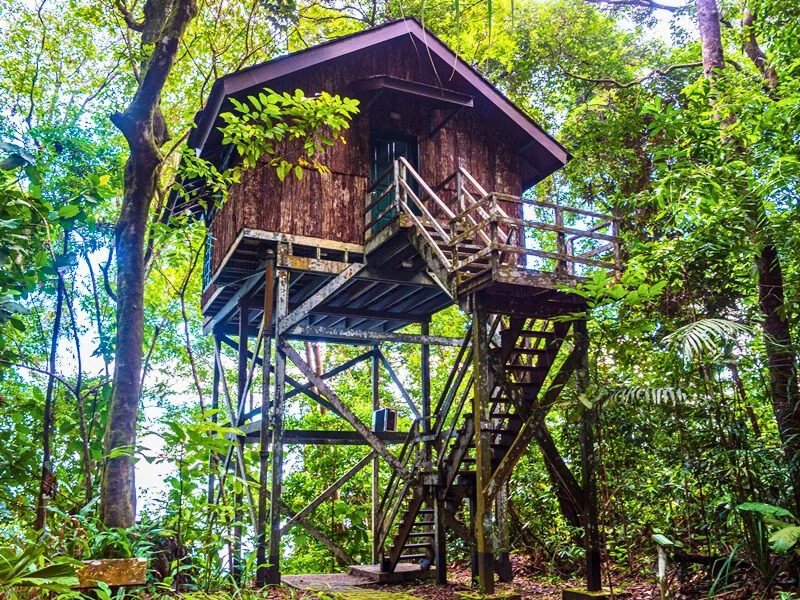 Hütte in der Baumhaus-Lodge auf Damai, Borneo