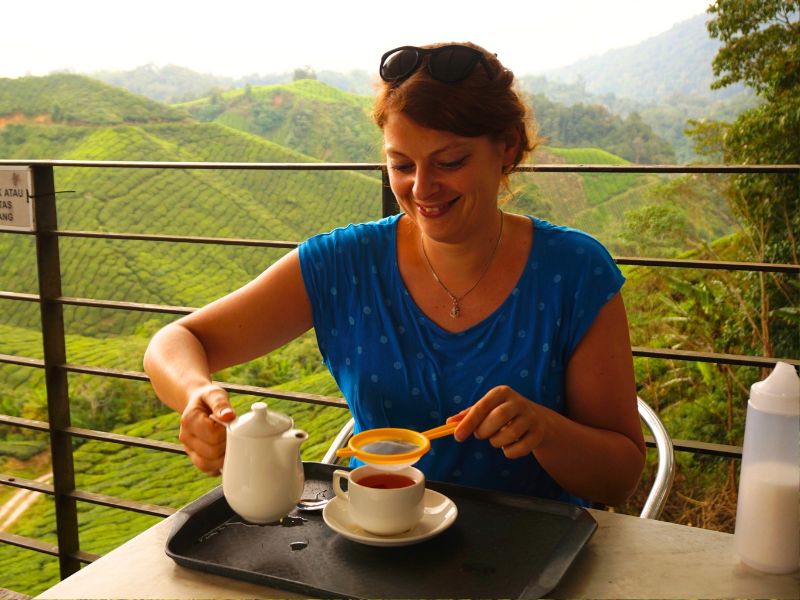 Tourist beim Tee trinken in den Cameron Highlands in Malaysia