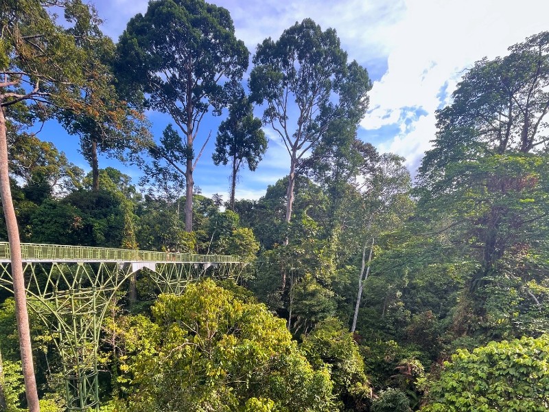 Tropische Umgebung in Sandakan, Malaysia