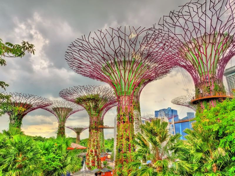 Gardens by the Bay in Singapur