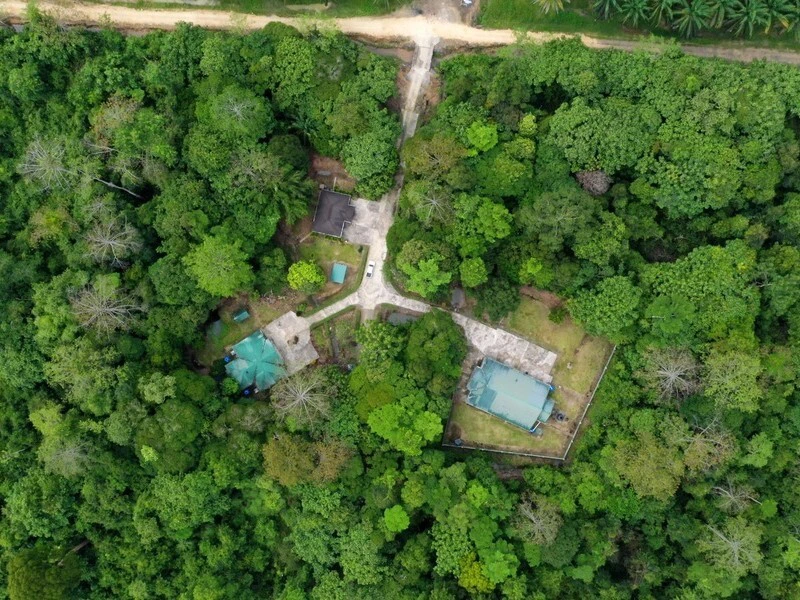 Blick auf die von Regenwald umgebene Lodge bei Sungai Kapur auf Borneo