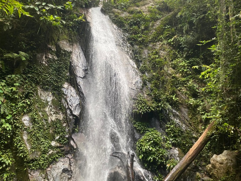 Wasserfall im Taman Negara Nationalpark in Malaysia