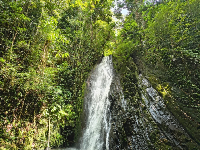 Wasserfall im Dschungel